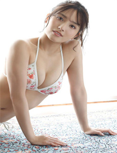 金燕子国语