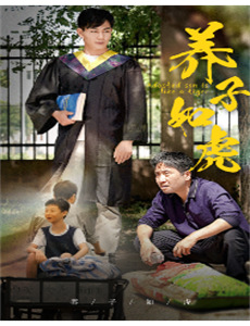 贺先生的恋恋不忘越南语版