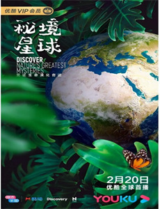 我躺帝王怀里刷视频