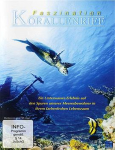 家庭教师高清版