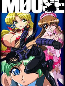 欢迎来到丛林2013